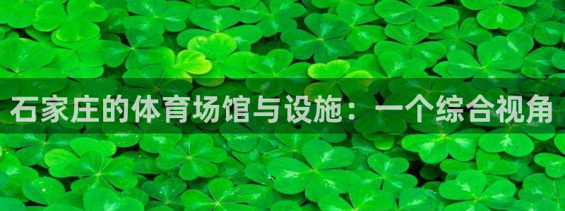 凯捷体育科技：石家庄的体育场馆与设施：一个综合视角