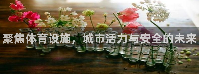 凯捷体育招商电话是多少号码：聚焦体育设施，城市活力与