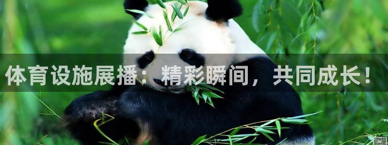 凯捷体育招商电话地址：体育设施展播：精彩瞬间，共同成