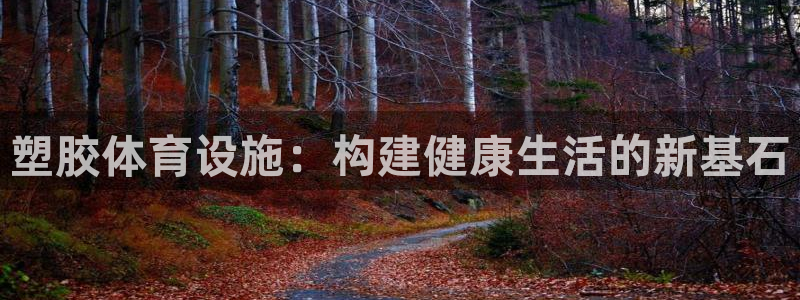 凯捷体育集团简介：塑胶体育设施：构建健康生活的新基石