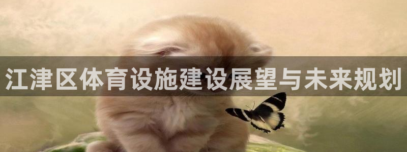 德国凯捷体育集团：江津区体育设施建设展望与未来规划
