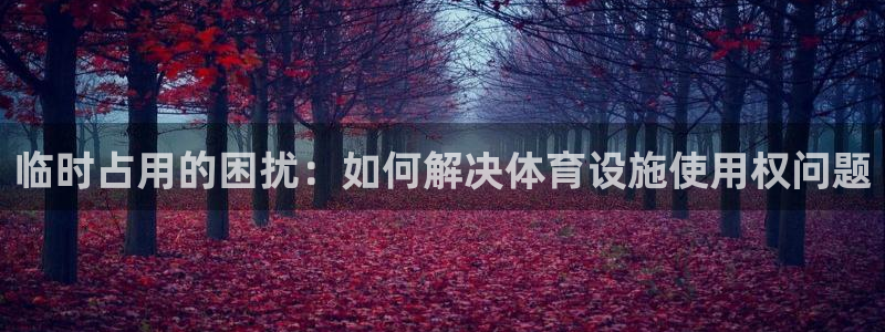 凯捷体育集团官网首页网址：临时占用的困扰：如何解决体