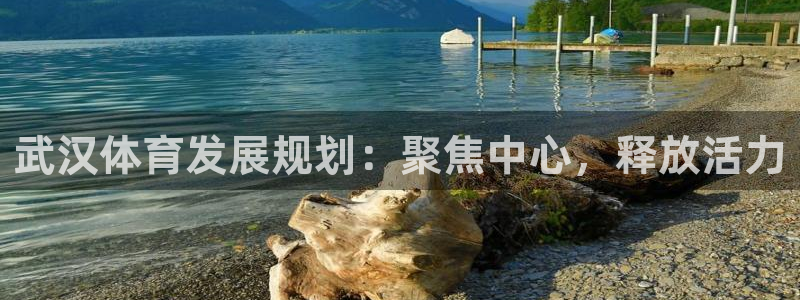 凯捷体育五金厂：武汉体育发展规划：聚焦中心，释放活力