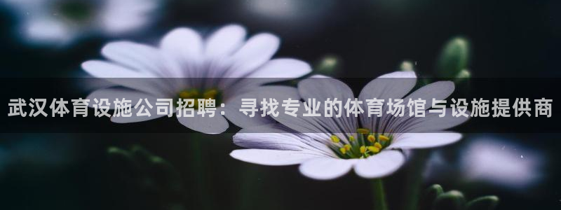凯捷体育官方客服电话：武汉体育设施公司招聘：寻找专业