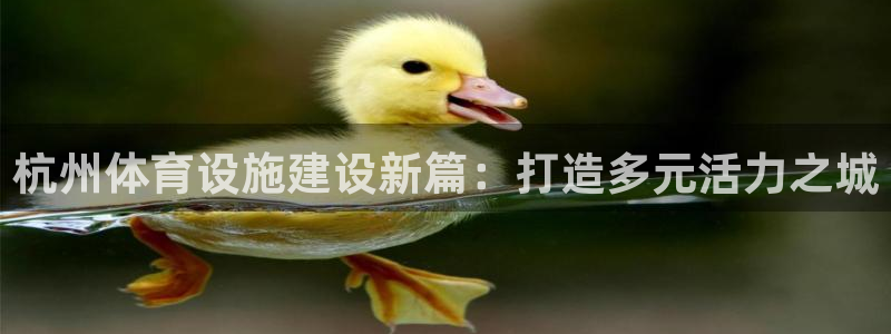 凯捷体育平台APP：杭州体育设施建设新篇：打造多元活