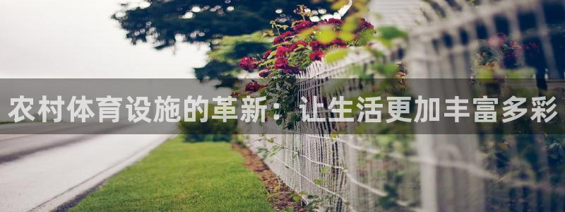 凯捷平台体育：农村体育设施的革新：让生活更加丰富多彩