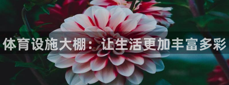 德国凯捷体育集团：体育设施大棚：让生活更加丰富多彩
