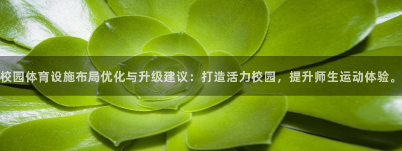 凯捷体育集团官网网址：校园体育设施布局优化与升级建议