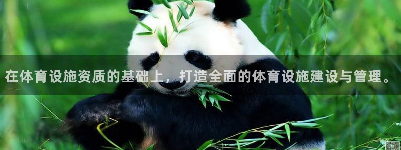 凯捷体育平台注册：在体育设施资质的基础上，打造全面的