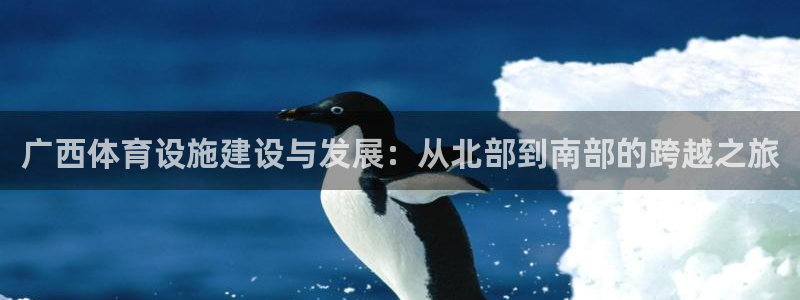 凯捷体育集团官网网址：广西体育设施建设与发展：从北部