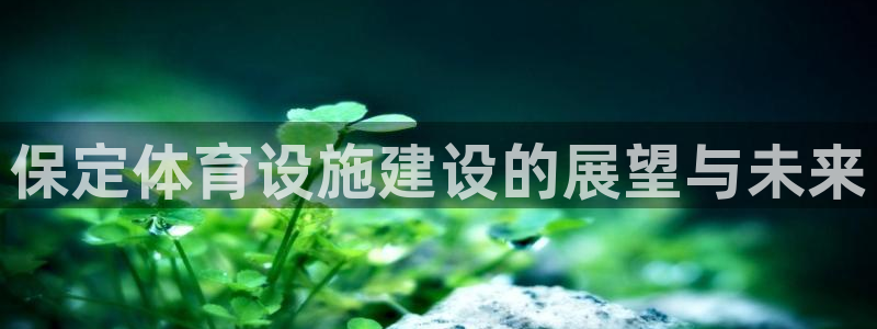 凯捷体育是干嘛的公司：保定体育设施建设的展望与未来