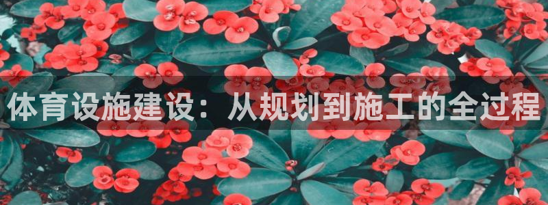 凯捷体育娱乐是那个系列的台子：体育设施建设：从规划到