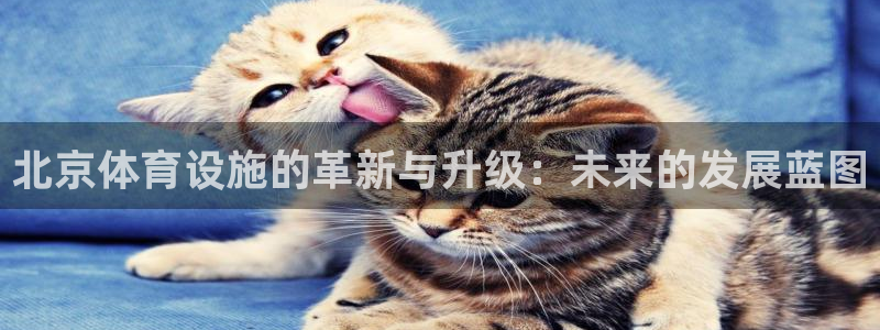 凯捷集团官网：北京体育设施的革新与升级：未来的发展蓝