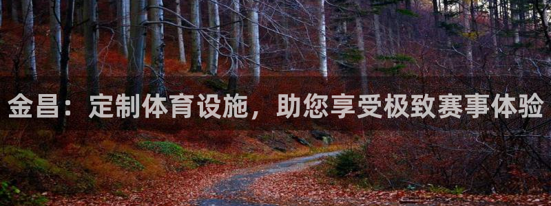 凯捷体育娱乐网站：金昌：定制体育设施，助您享受极致赛