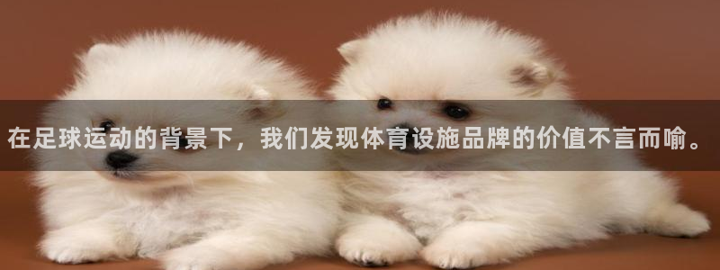 凯捷体育平台注册：在足球运动的背景下，我们发现体育设