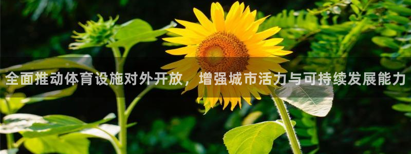 凯捷体育：全面推动体育设施对外开放，增强城市活力与可