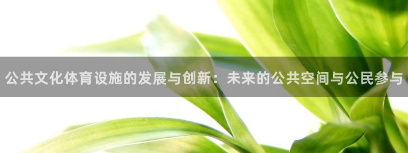 凯捷体育是干嘛的公司：公共文化体育设施的发展与创新：