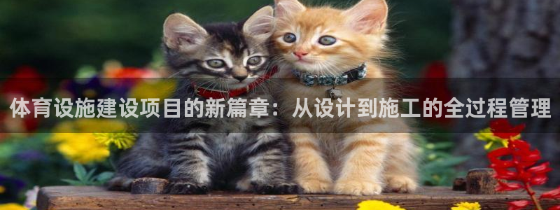 凯捷体育五金厂：体育设施建设项目的新篇章：从设计到施工的全过