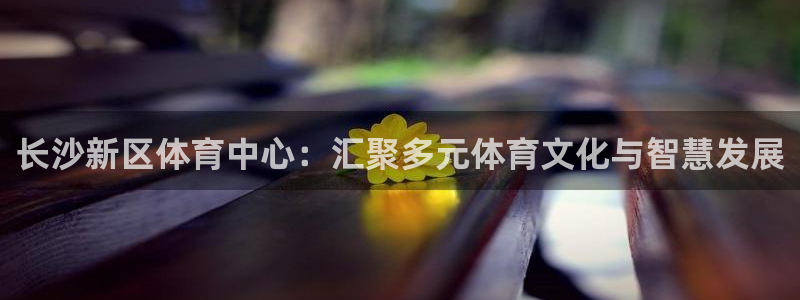 凯捷体育招商电话号码：长沙新区体育中心：汇聚多元体育
