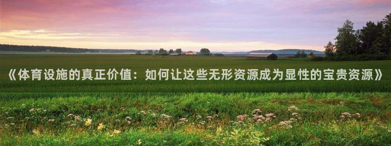 凯捷体育集团E.ON：《体育设施的真正价值：如何让这