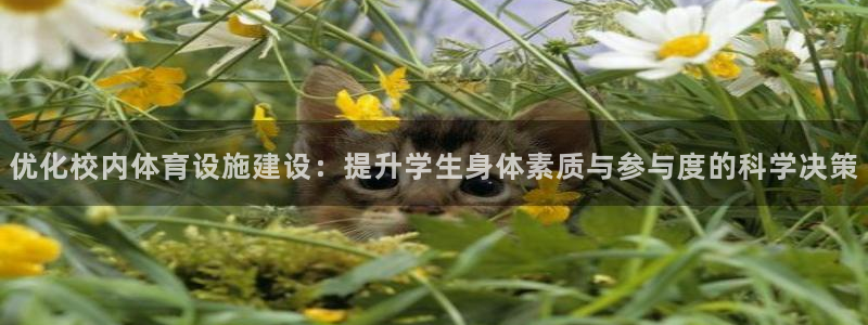凯捷体育娱乐：优化校内体育设施建设：提升学生身体素质