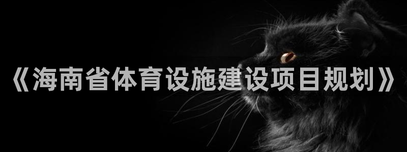 凯捷体育集团E.ON：《海南省体育设施建设项目规划》