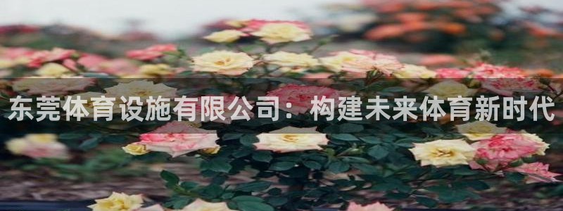 凯捷体育招商电话号码查询是多少：东莞体育设施有限公司：构建未