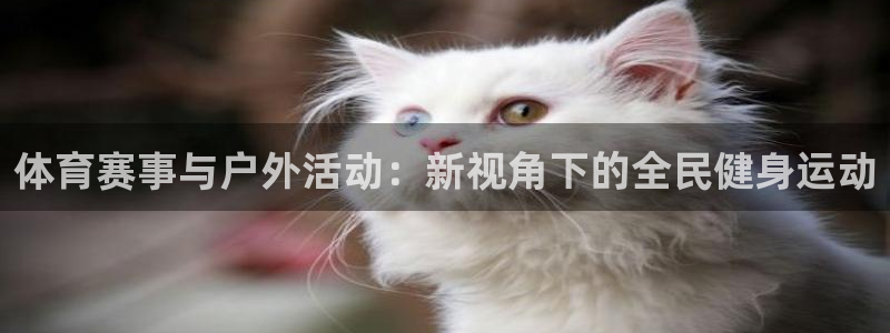凯捷体育是干嘛的公司：体育赛事与户外活动：新视角下的