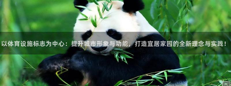 凯捷体育集团E.ON：以体育设施标志为中心：提升城市
