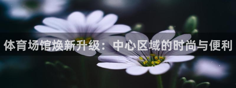 凯捷体育娱乐40996：体育场馆焕新升级：中心区域的时尚与便