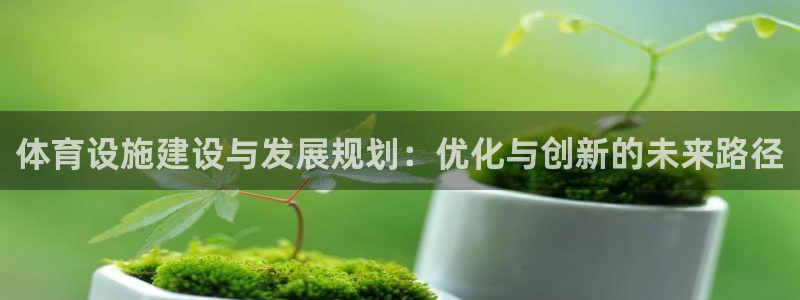 凯捷体育平台注册流程视频：体育设施建设与发展规划：优