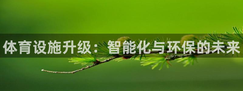 凯捷体育五金厂：体育设施升级：智能化与环保的未来