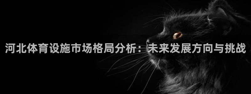 凯捷体育科技：河北体育设施市场格局分析：未来发展方向