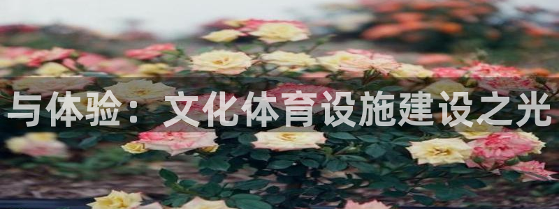 凯捷体育开户：与体验：文化体育设施建设之光