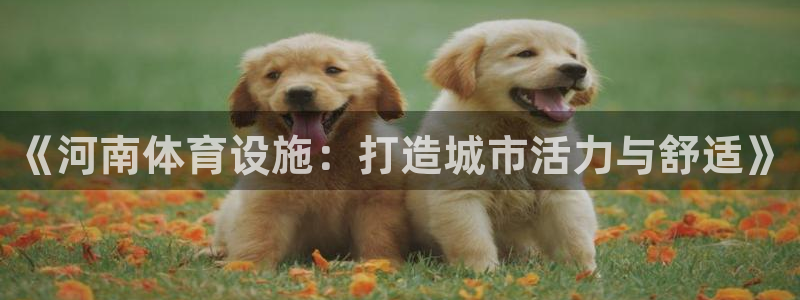 凯捷体育平台注册要钱吗安全吗：《河南体育设施：打造城