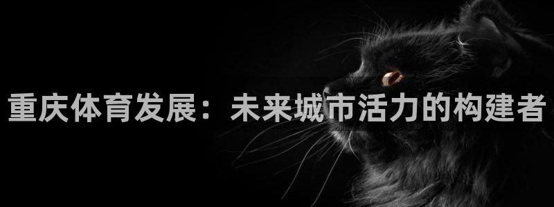 凯捷体育集团官网首页：重庆体育发展：未来城市活力的构