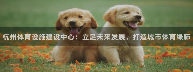 凯捷体育平台是正规平台吗知乎：杭州体育设施建设中心：