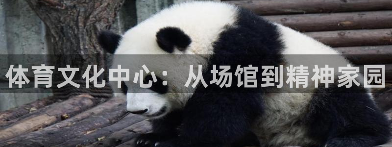 凯捷体育平台是正规平台吗安全吗：体育文化中心：从场馆