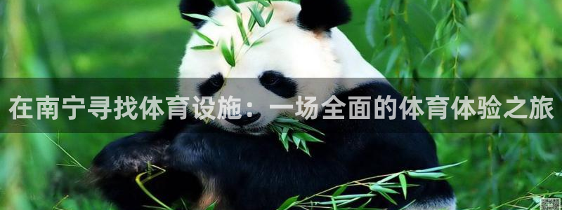 凯捷体育招商电话地址是多少：在南宁寻找体育设施：一场