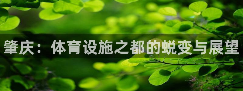 凯捷体育招商电话号码是多少号：肇庆：体育设施之都的蜕