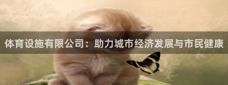 凯捷体育开户：体育设施有限公司：助力城市经济发展与市