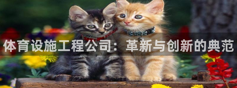 凯捷体育软件：体育设施工程公司：革新与创新的典范