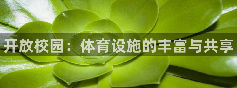 凯捷体育招商电话地址：开放校园：体育设施的丰富与共享
