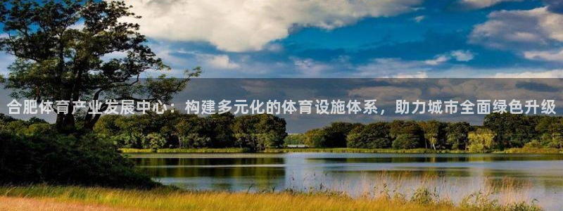 凯捷体育：合肥体育产业发展中心：构建多元化的体育设施