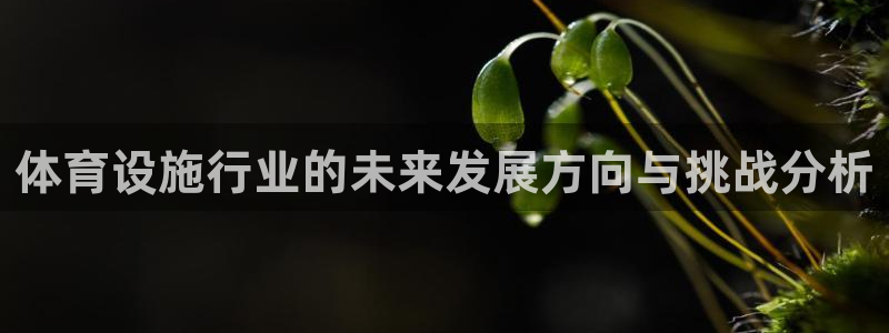 凯捷集团官网：体育设施行业的未来发展方向与挑战分析