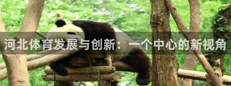 凯捷体育招商电话号码是多少啊：河北体育发展与创新：一