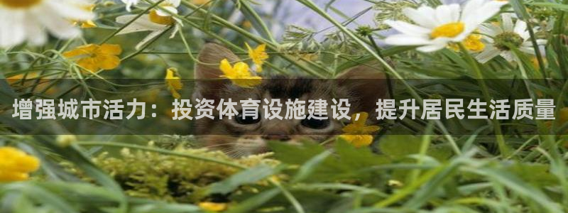 凯捷体育注册：增强城市活力：投资体育设施建设，提升居