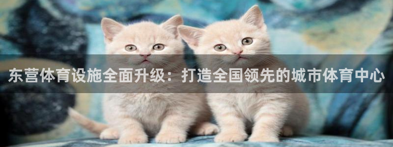 凯捷体育招商电话号码是多少号：东营体育设施全面升级：