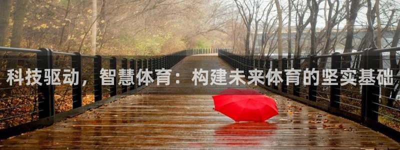 海南凯捷体育发展怎么样：科技驱动，智慧体育：构建未来