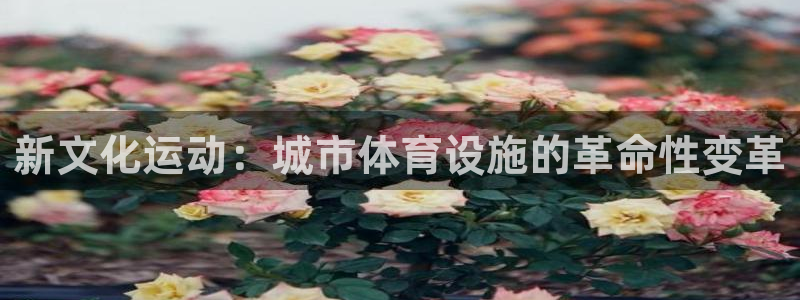 凯捷体育软件：新文化运动：城市体育设施的革命性变革